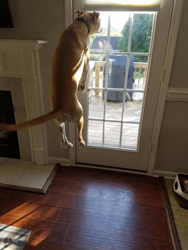 daily picdump 85 pics 36.html - 85 HD Photos | Premium Gallery 2017