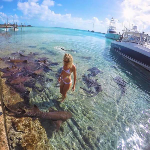 morning picdump 55 pics 12.html - 55 HD Photos | Premium Gallery 2017