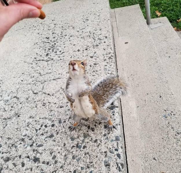 morning picdump 55 pics 12.html - 55 HD Photos | Premium Gallery 2017