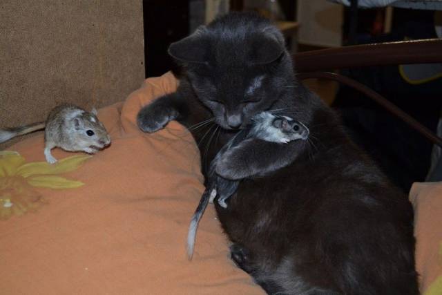 morning picdump 55 pics 12.html - 55 HD Photos | Premium Gallery 2017