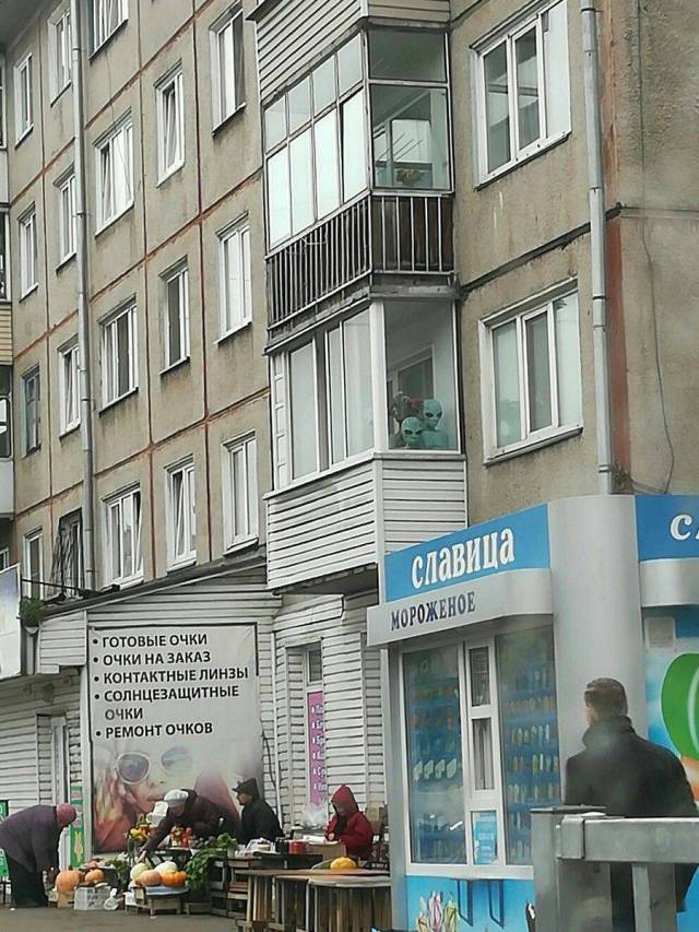 morning picdump 55 pics 12.html - 55 HD Photos | Premium Gallery 2017