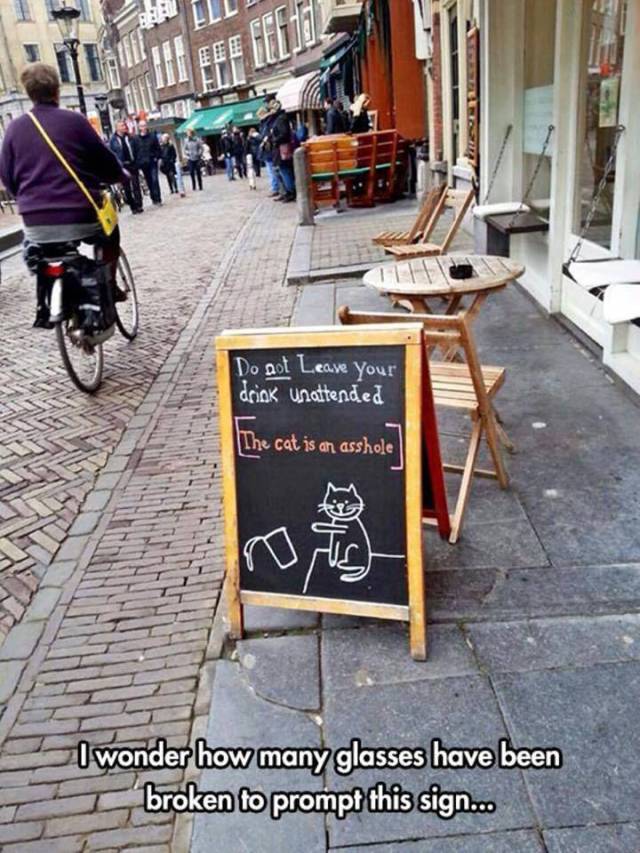 morning picdump 55 pics 12.html - 55 HD Photos | Premium Gallery 2017