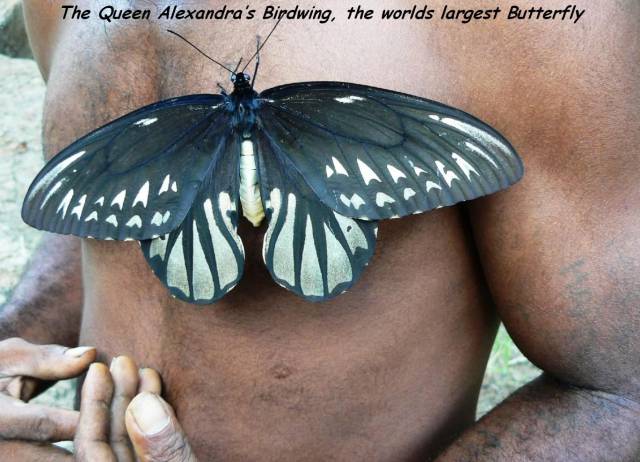 daily picdump 87 pics 41.html - 87 HD Photos | Premium Gallery 2017