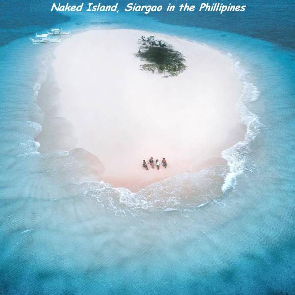 daily picdump 87 pics 41.html - 87 HD Photos | Premium Gallery 2017