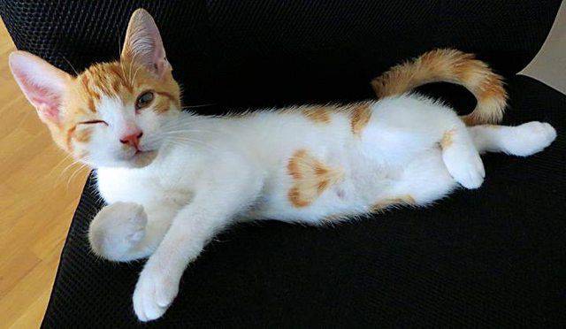 daily picdump 87 pics 41.html - 87 HD Photos | Premium Gallery 2017