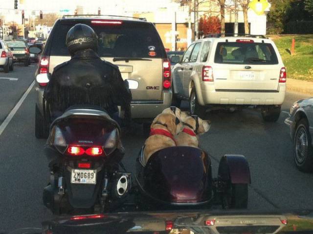 daily picdump 87 pics 41.html - 87 HD Photos | Premium Gallery 2017