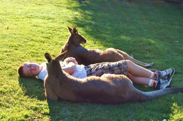 daily picdump 87 pics 41.html - 87 HD Photos | Premium Gallery 2017