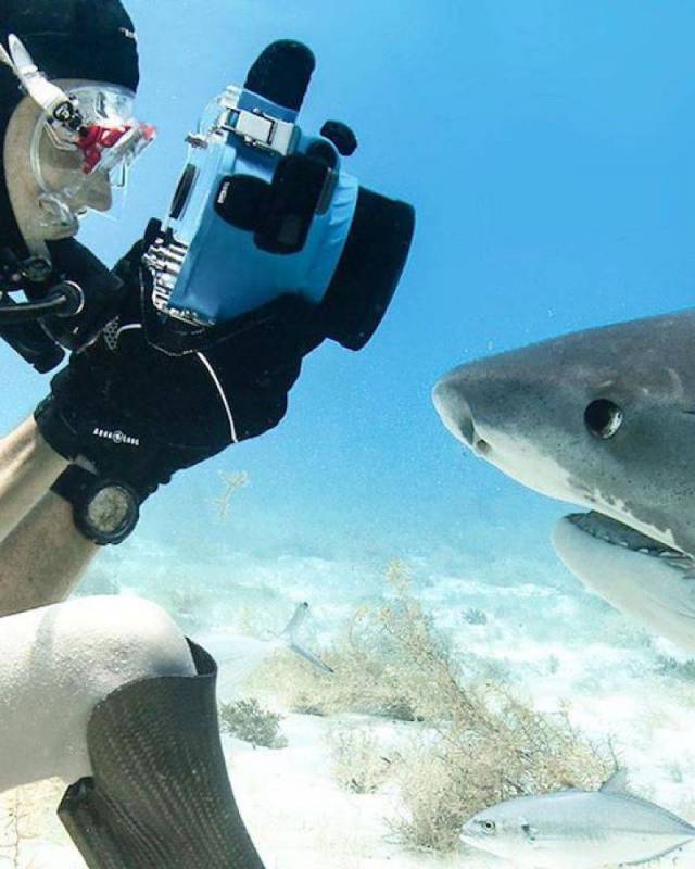 daily picdump 87 pics 41.html - 87 HD Photos | Premium Gallery 2017