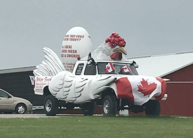 morning picdump 55 pics 21.html - 55 HD Photos | Premium Gallery 2017