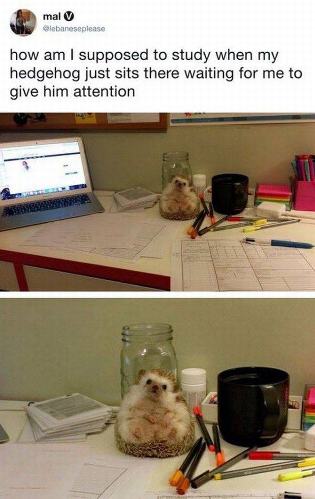 morning picdump 55 pics 21.html - 55 HD Photos | Premium Gallery 2017