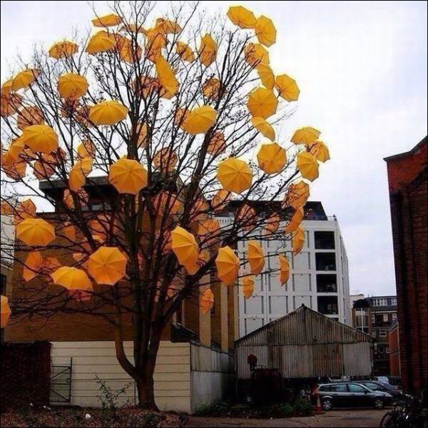 morning picdump 56 pics 17.html - 56 HD Photos | Premium Gallery 2017