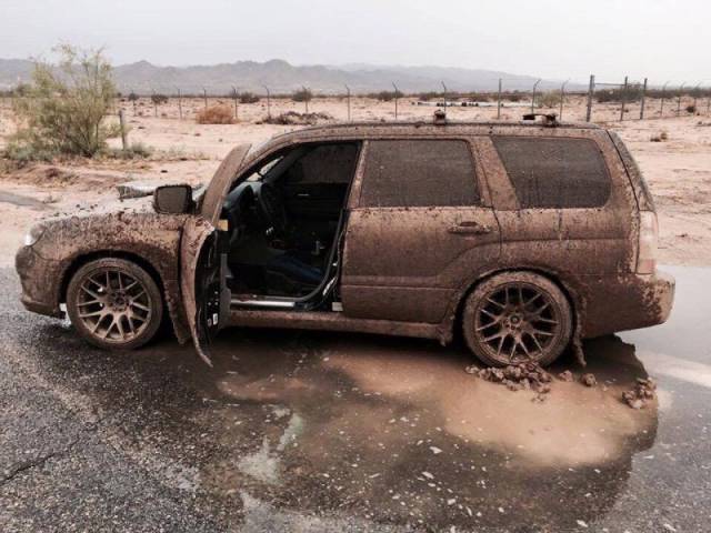 daily picdump 88 pics 3.html - 88 HD Photos | Premium Gallery 2017