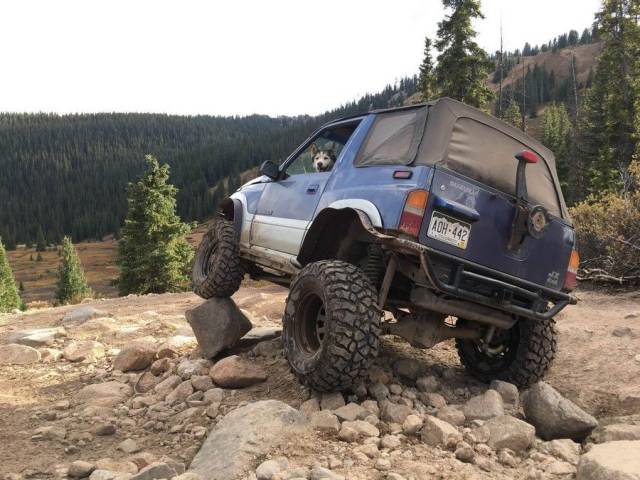 daily picdump 88 pics 3.html - 88 HD Photos | Premium Gallery 2017