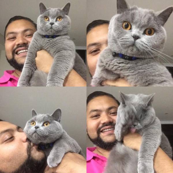 daily picdump 88 pics 3.html - 88 HD Photos | Premium Gallery 2017