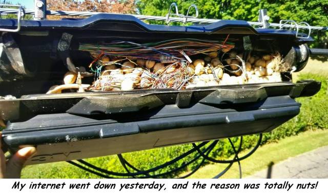 daily picdump 88 pics 3.html - 88 HD Photos | Premium Gallery 2017