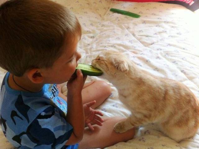 daily picdump 88 pics 3.html - 88 HD Photos | Premium Gallery 2017