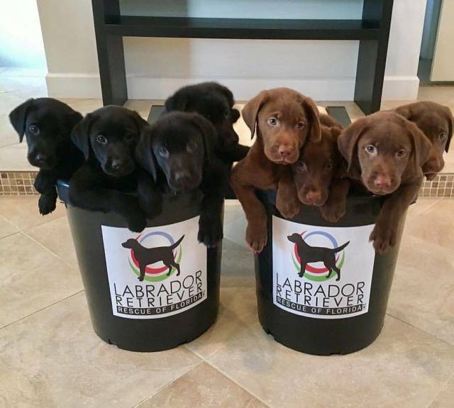 daily picdump 88 pics 3.html - 88 HD Photos | Premium Gallery 2017