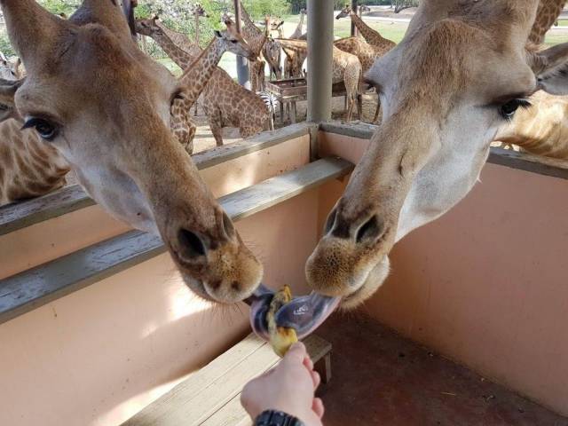 daily picdump 88 pics 3.html - 88 HD Photos | Premium Gallery 2017