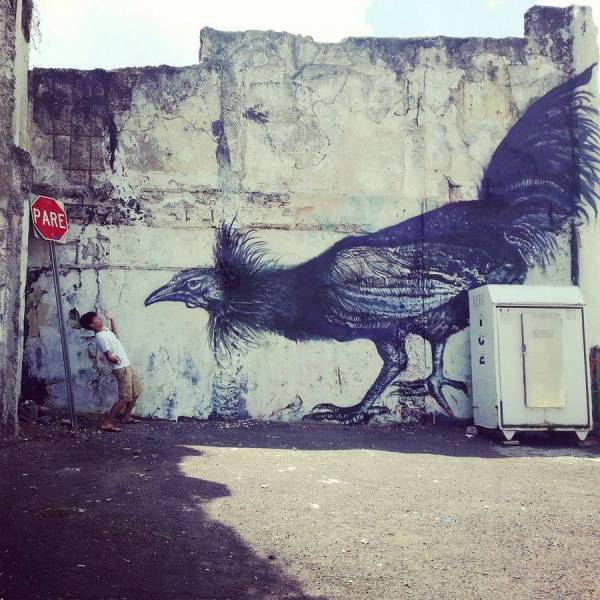 daily picdump 88 pics 3.html - 88 HD Photos | Premium Gallery 2017