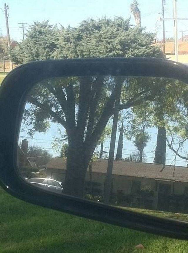 daily picdump 88 pics 3.html - 88 HD Photos | Premium Gallery 2017