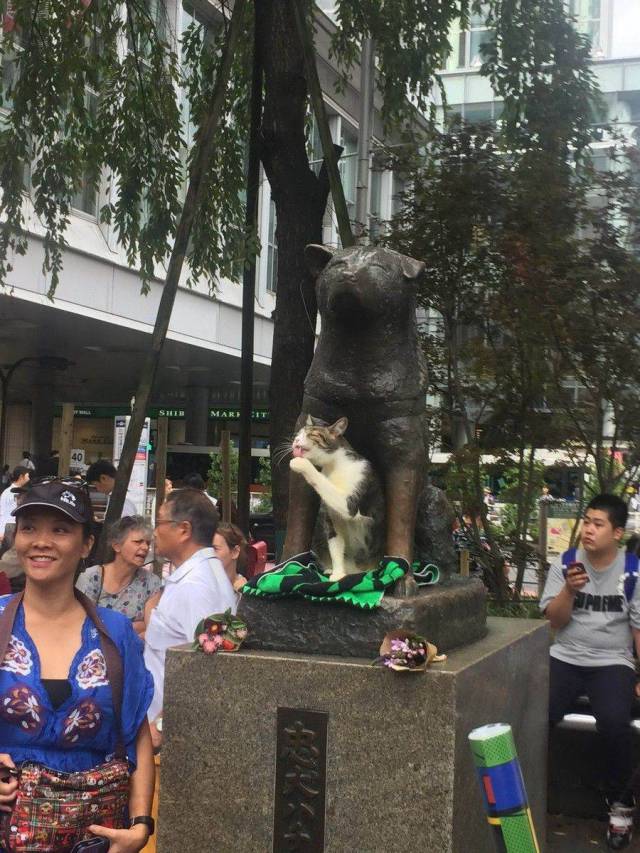 daily picdump 88 pics 3.html - 88 HD Photos | Premium Gallery 2017