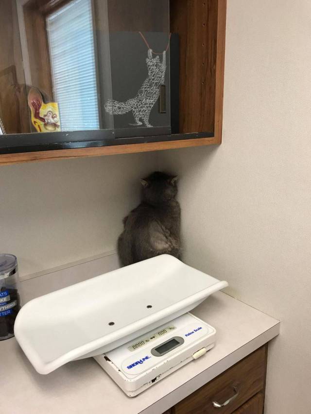 daily picdump 88 pics 3.html - 88 HD Photos | Premium Gallery 2017