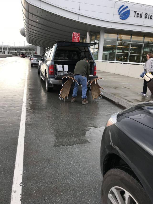 daily picdump 88 pics 3.html - 88 HD Photos | Premium Gallery 2017