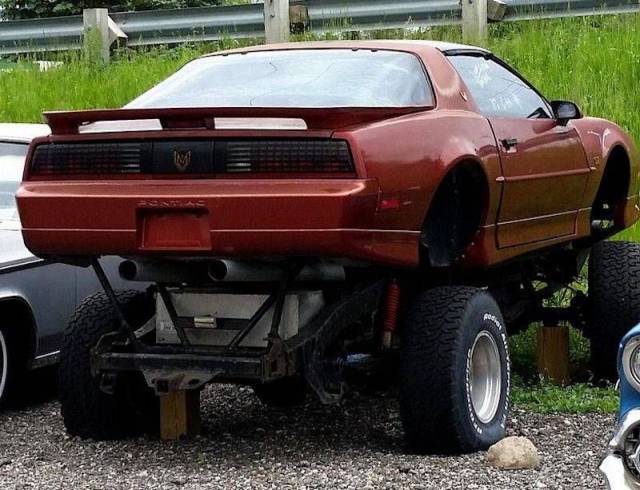 daily picdump weekend edition 68 pics 28.html - 68 HD Photos | Premium Gallery 2017