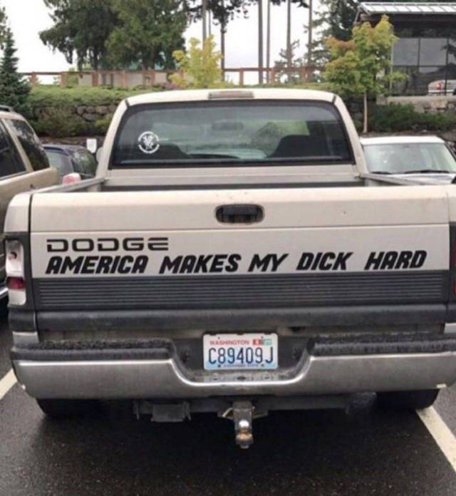 Daily Picdump [WEEKEND EDITION]