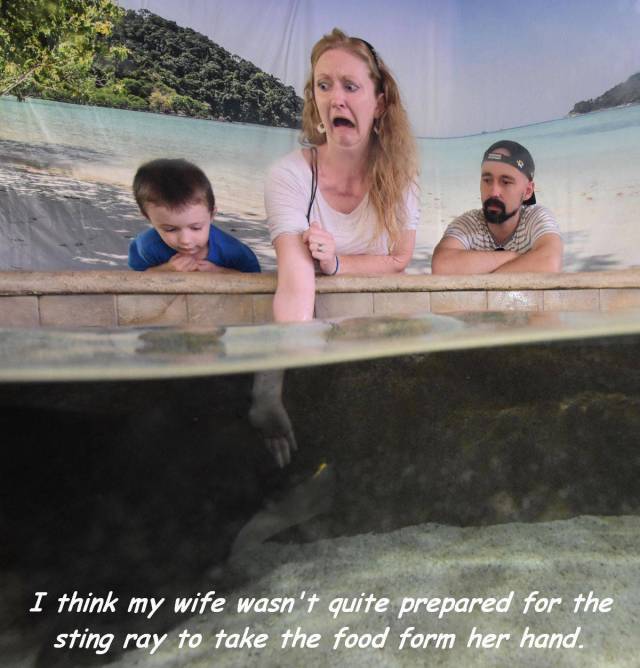 Daily Picdump [WEEKEND EDITION]