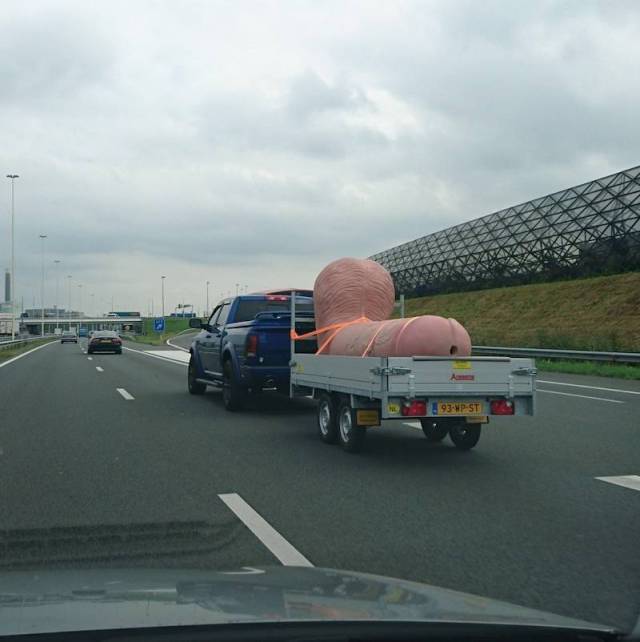 daily picdump weekend edition 68 pics 28.html - 68 HD Photos | Premium Gallery 2017