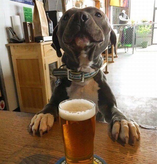 daily picdump weekend edition 68 pics 28.html - 68 HD Photos | Premium Gallery 2017