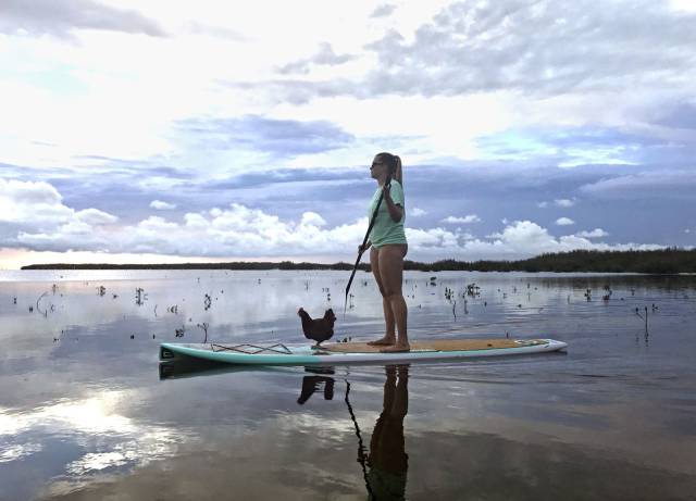 daily picdump 88 pics 3.html - 88 HD Photos | Premium Gallery 2017