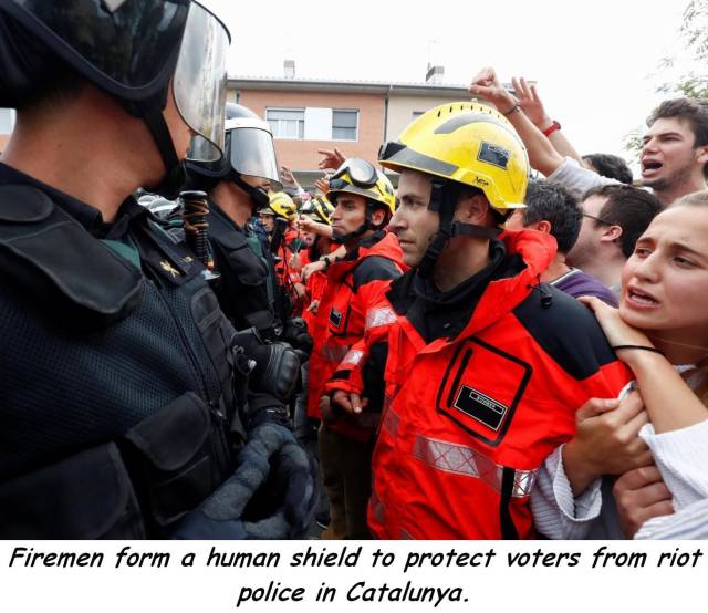 daily picdump 88 pics 3.html - 88 HD Photos | Premium Gallery 2017