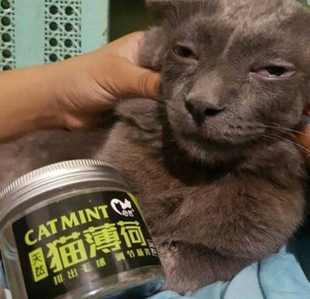 daily picdump 88 pics 3.html - 88 HD Photos | Premium Gallery 2017