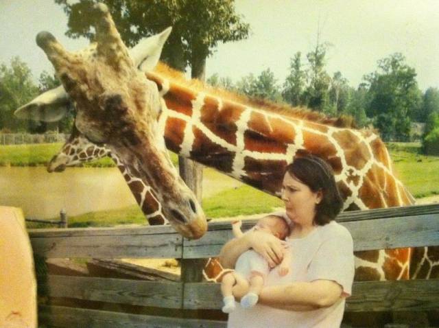 daily picdump 88 pics 3.html - 88 HD Photos | Premium Gallery 2017