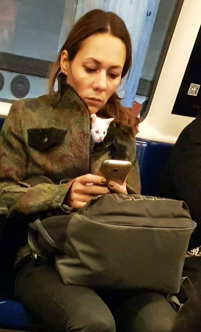 daily picdump 88 pics 3.html - 88 HD Photos | Premium Gallery 2017