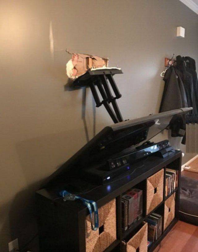 daily picdump 88 pics 3.html - 88 HD Photos | Premium Gallery 2017