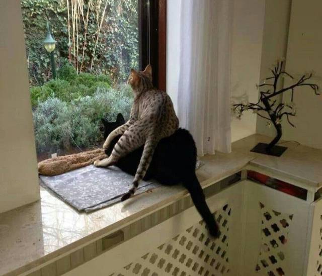 daily picdump 91 pics 41.html - 91 HD Photos | Premium Gallery 2017