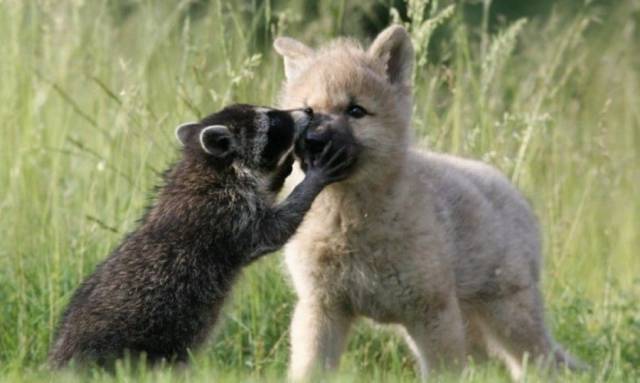 daily picdump 91 pics 41.html - 91 HD Photos | Premium Gallery 2017