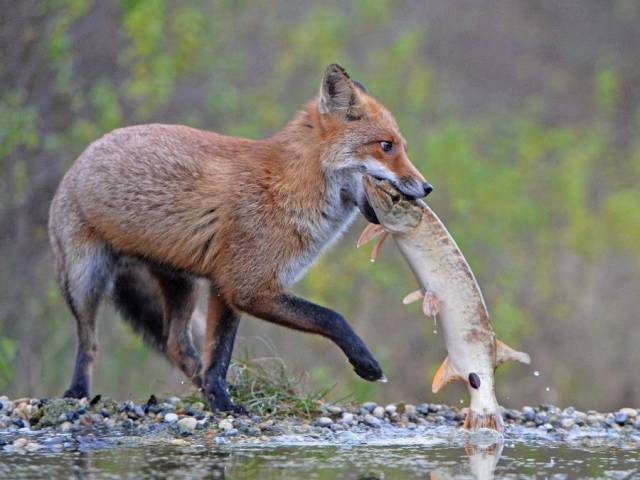 morning picdump 56 pics 9.html - 56 HD Photos | Premium Gallery 2017