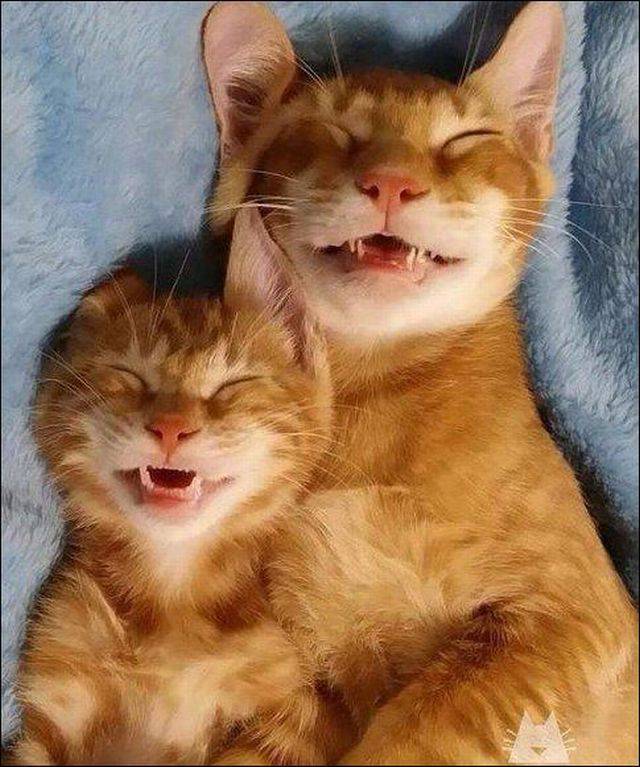 morning picdump 56 pics 9.html - 56 HD Photos | Premium Gallery 2017