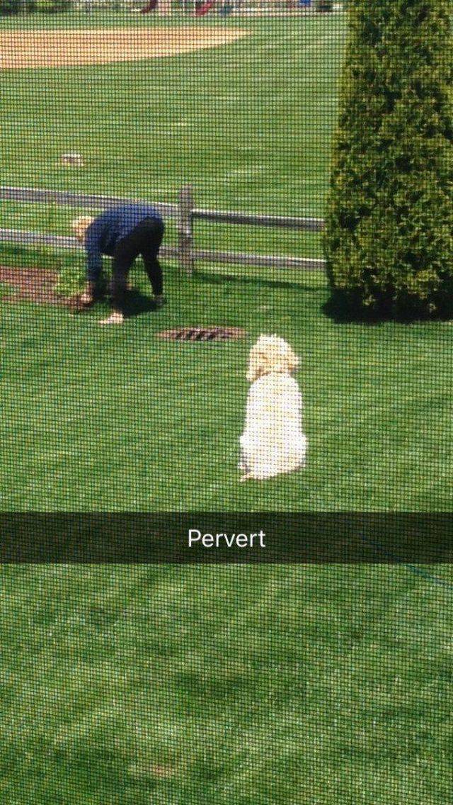 morning picdump 56 pics 9.html - 56 HD Photos | Premium Gallery 2017