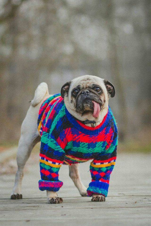 morning picdump 56 pics 9.html - 56 HD Photos | Premium Gallery 2017