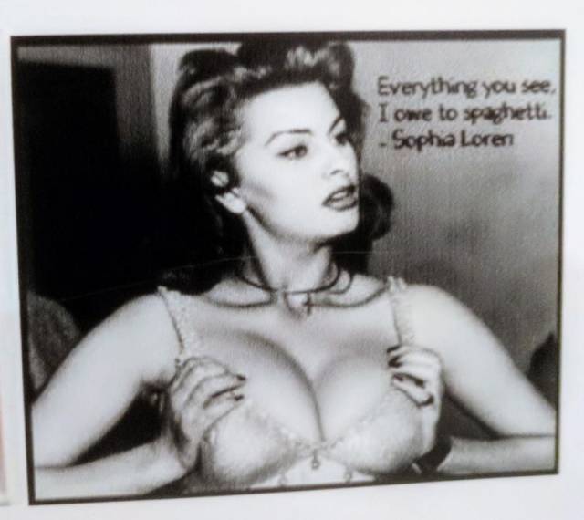 daily picdump 88 pics 5.html - 88 HD Photos | Premium Gallery 2017