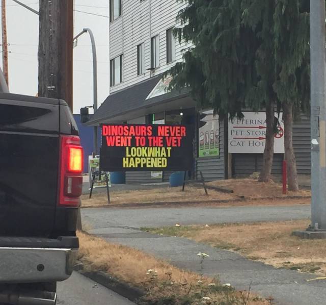 daily picdump 88 pics 5.html - 88 HD Photos | Premium Gallery 2017