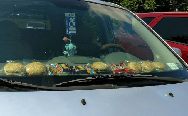 daily picdump 88 pics 5.html - 88 HD Photos | Premium Gallery 2017