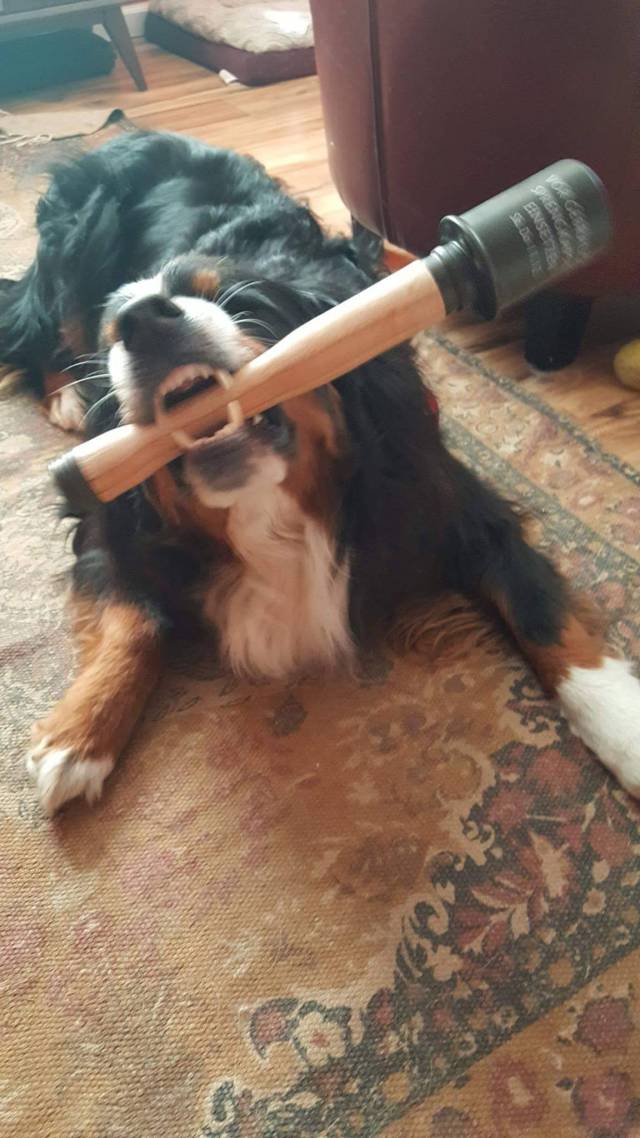 daily picdump 88 pics 5.html - 88 HD Photos | Premium Gallery 2017