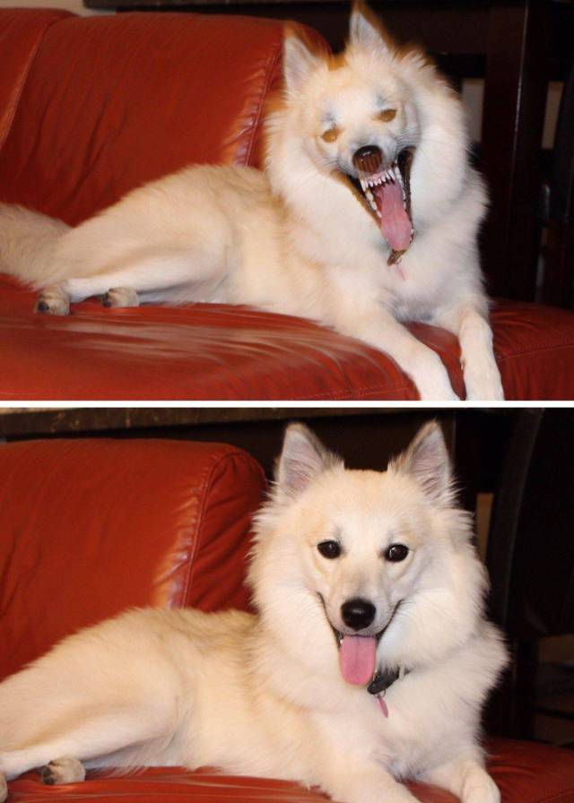 daily picdump 88 pics 5.html - 88 HD Photos | Premium Gallery 2017