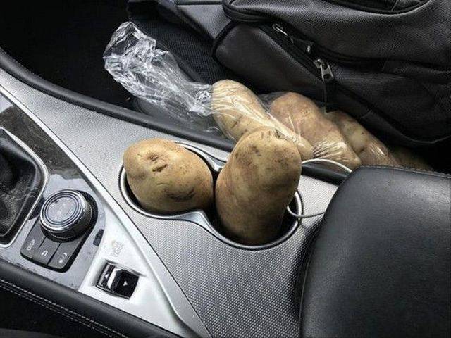 morning picdump 56 pics 18.html - 56 HD Photos | Premium Gallery 2017